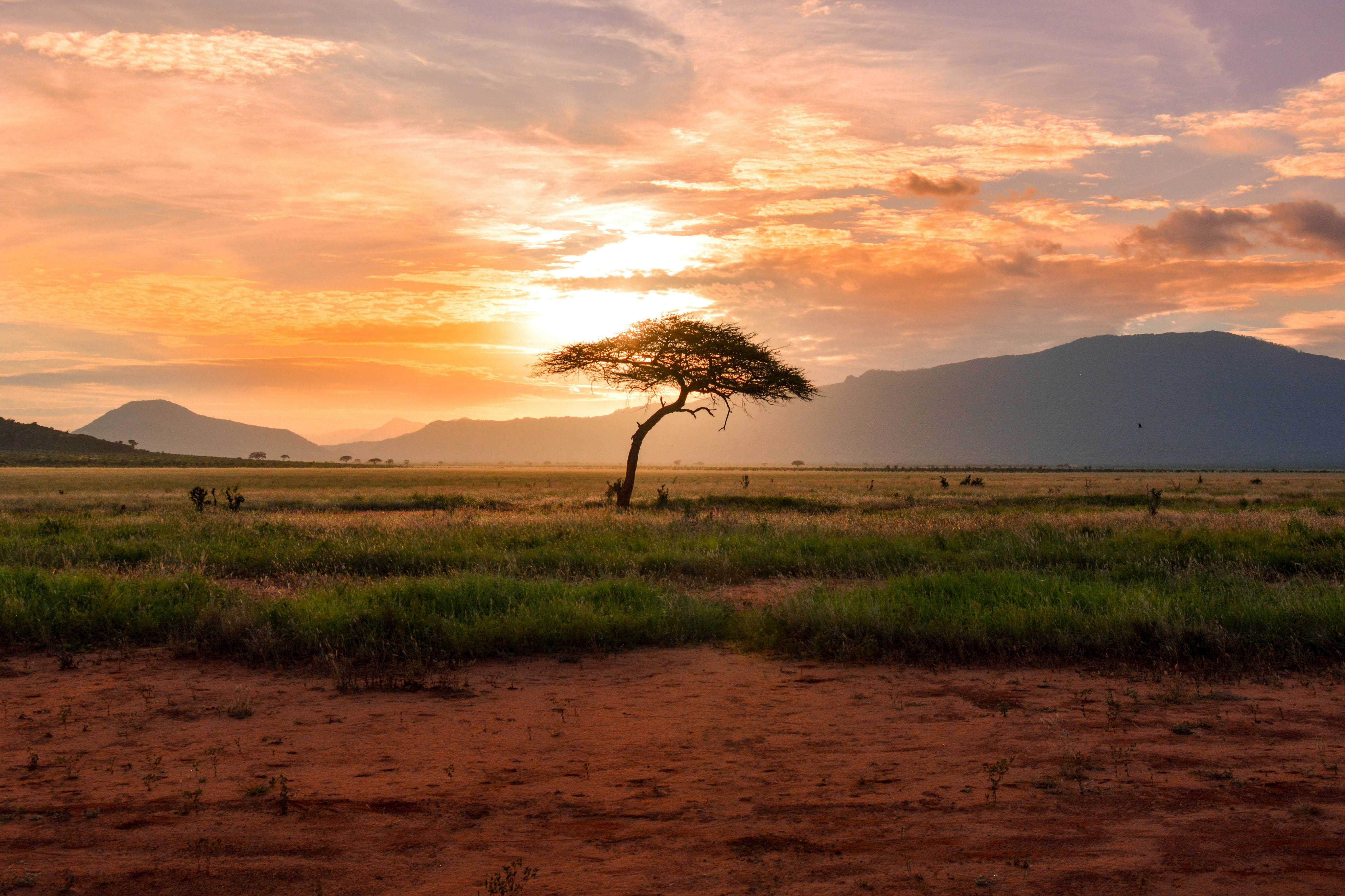 tsavo-east-national-park-kenya